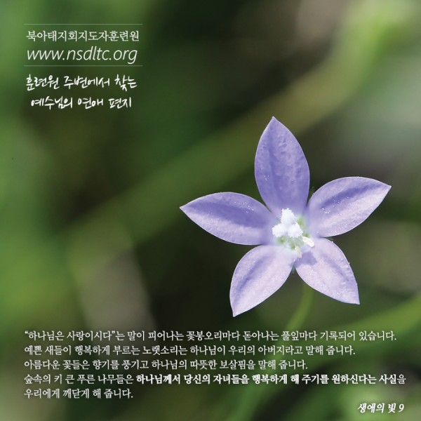생애의빛9_700x700.jpg